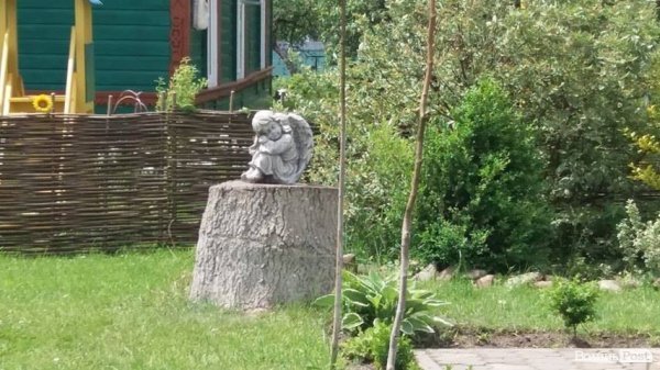 Як волинських журналістів вчили стріляти. ФОТО