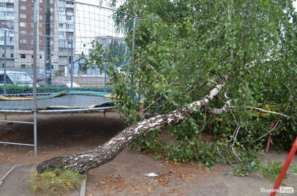 Негода повалила білборд на дорогу та дерево на дитячий майданчик. ФОТО