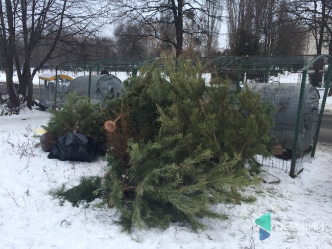 Куди в Луцьку можна здати ялинку, щоб вона принесла користь