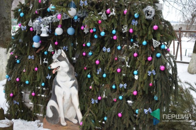 Куди в Луцьку можна здати ялинку, щоб вона принесла користь