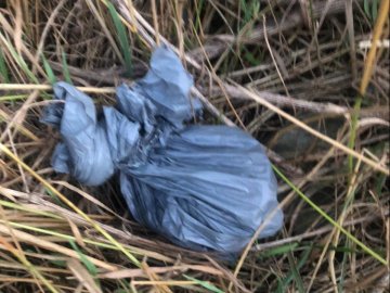 Лучанин через Telegram поширював «закладки»