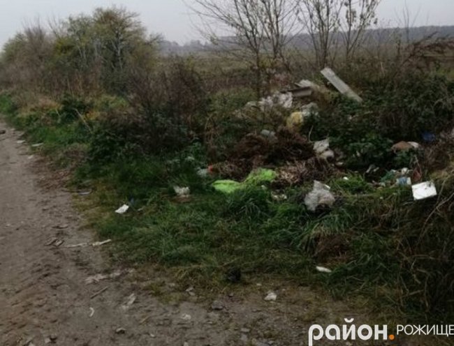 На Волині невідомі на узбіччі викинули ікони. ФОТО