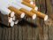 Стало відомо, які сигарети заборонять в Україні