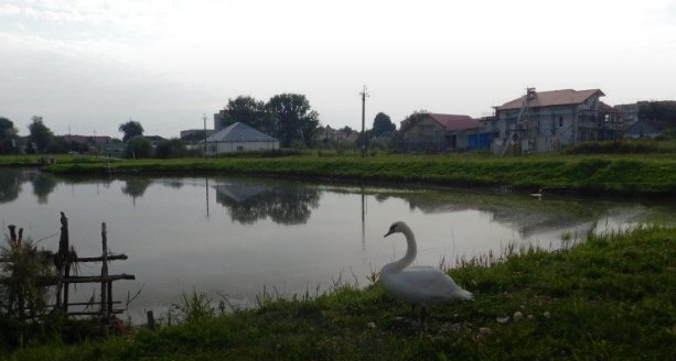 На Волині невідомі пошкодили греблю озера. ФОТО