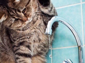 Через борги лучани можуть залишитися без гарячої води