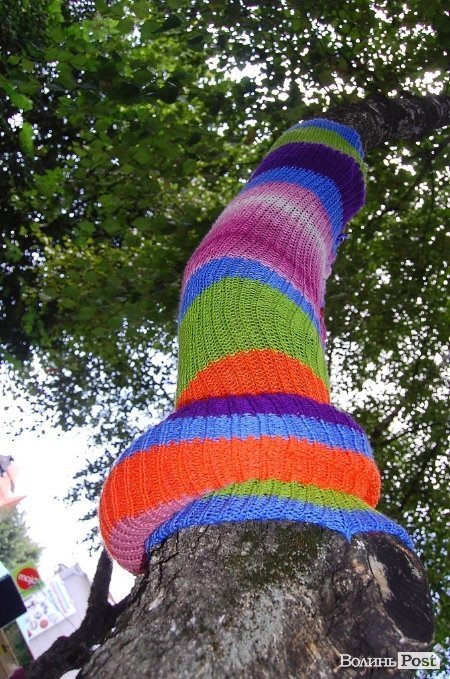 У центрі Луцька «одягли» дерева під музику. ФОТО