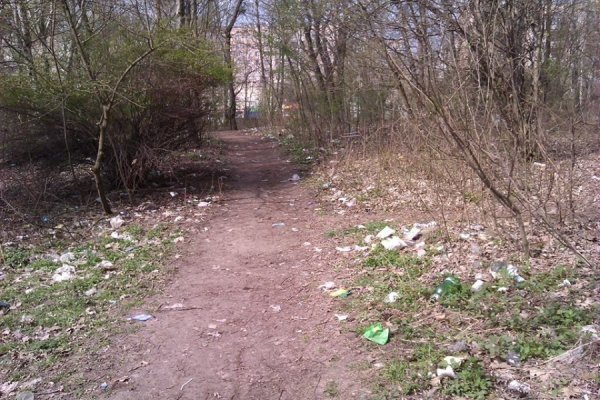 У Луцьку за тиждень «загадили» парк