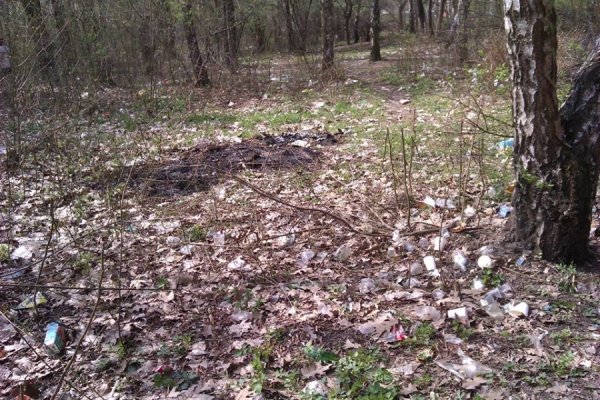 У Луцьку за тиждень «загадили» парк