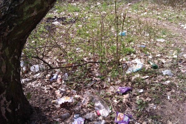 У Луцьку за тиждень «загадили» парк