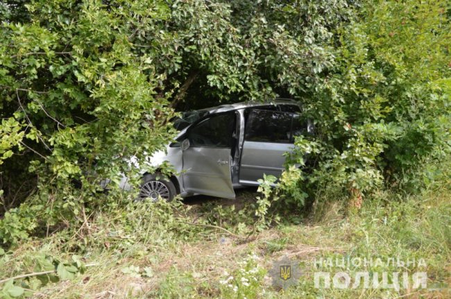 На Волині авто врізалося в дерево: є постраждалі