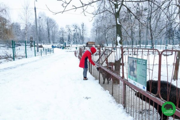 Зима в Луцькому зоопарку