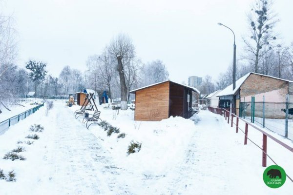 Зима в Луцькому зоопарку