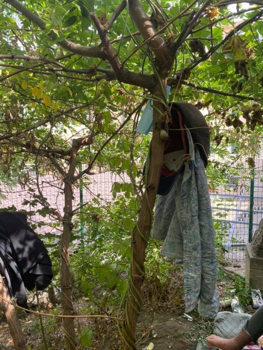 Спав на землі і грався з котом серед шприців: в Одесі хлопчик жив у парку. ФОТО