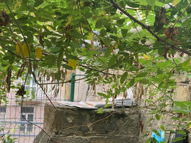 Спав на землі і грався з котом серед шприців: в Одесі хлопчик жив у парку. ФОТО