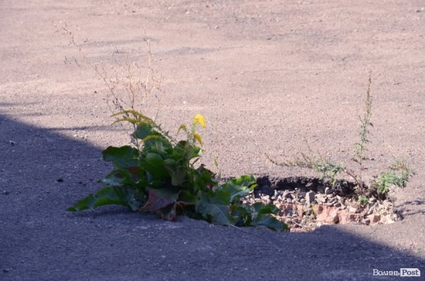 Фотопогляд: Луцьк за межами 40-го району. ФОТО