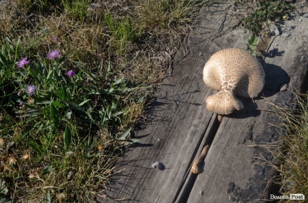 Фотопогляд: Луцьк за межами 40-го району. ФОТО