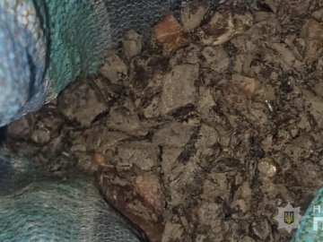 За бурштин на мільйон на Волині судять депутата з Рівненщини