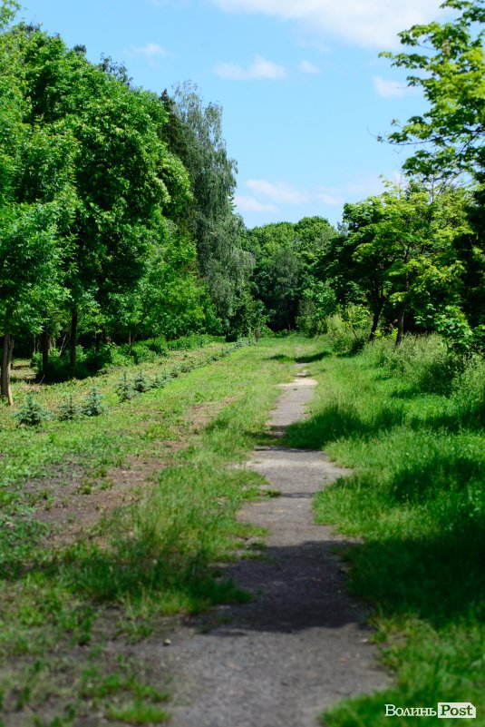 Літній день у центральному парку Луцька. ФОТОРЕПОРТАЖ