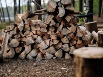 Волинянин незаконно нарубав лісу на 40 тисяч гривень