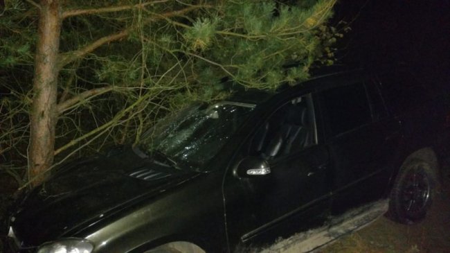 На Волині машина влетіла у дерево, аби не зіткнутися з іншим авто