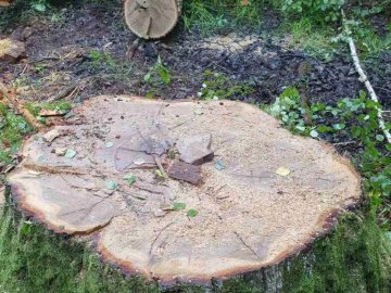 З «криміналом» та нападом на працівників лісової охорони: як у Цумані затримували порушників