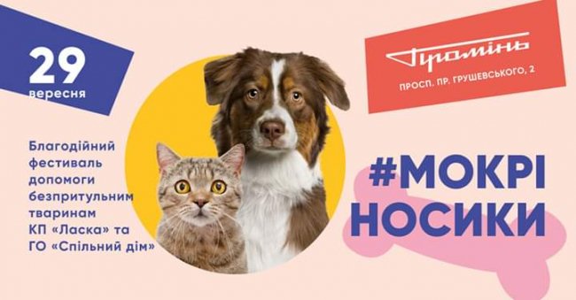 Куди піти на вихідні у Луцьку: 27 – 29 вересня