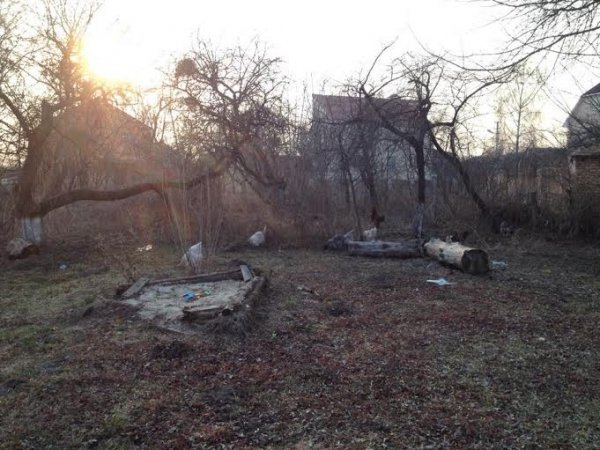 У Луцьку в будинку  українського письменника навчатимуть  дітей творити. ФОТО