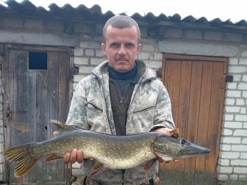 Волинянин упіймав величезну щуку у Стиру 