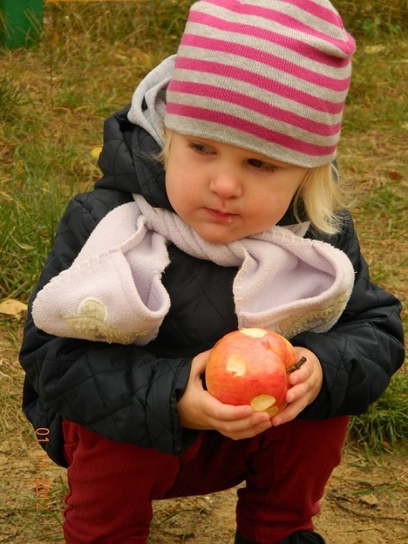 Обрали найкраще дитяче фото осені