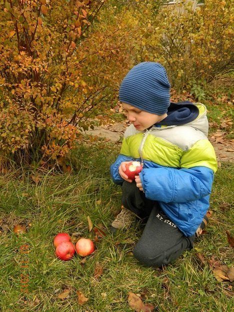 Обрали найкраще дитяче фото осені