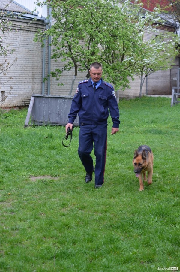 Як живуть та тренуються службові собаки. ФОТО