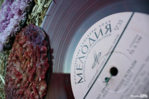 У Луцьку на джазовому фесті обігрували «Металіку». ФОТО