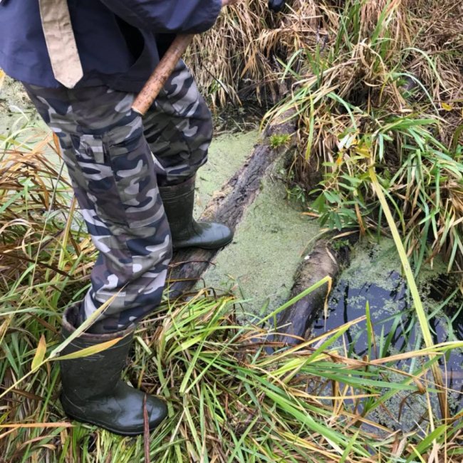 «Риболовля – це класно, якщо ви не провалюєтесь у боброву яму», – волинська журналістка
