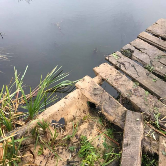 «Риболовля – це класно, якщо ви не провалюєтесь у боброву яму», – волинська журналістка