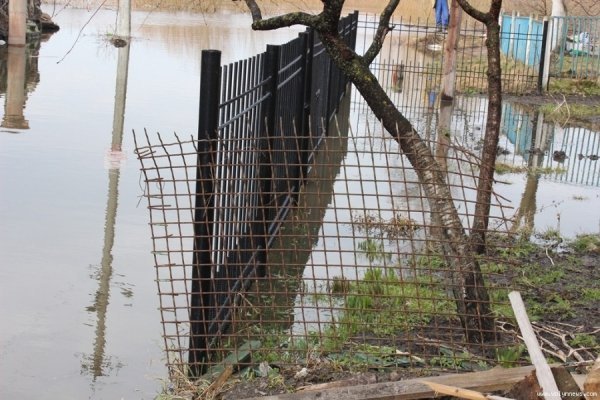 Луцький «будинок з химерами» ‒ у воді. ФОТО