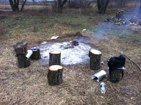 Невідомі чоловіки ріжуть у Ковелі дерева і нападають на журналістів. ФОТО