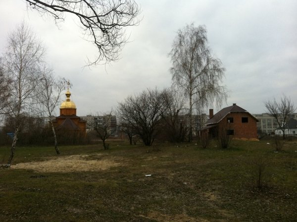 Невідомі чоловіки ріжуть у Ковелі дерева і нападають на журналістів. ФОТО