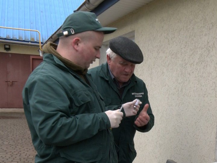 В громаді на Волині ветеринари подвірно щеплювали тварин від сказу