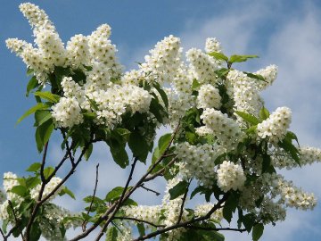 Синоптик розповіла, якою буде погода на Волині у вихідні, 29-30 травня