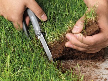 На Волині орендаря змушують повернути землю вартістю 10 мільйонів