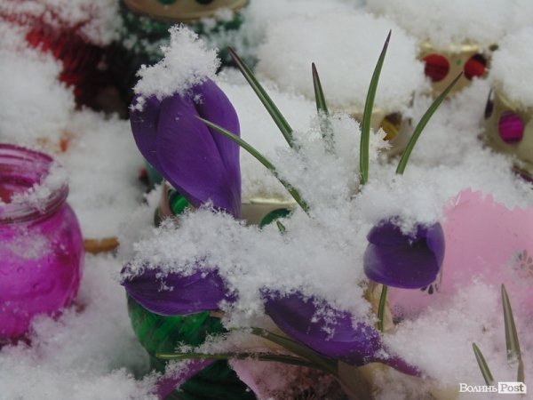 Луцьк засипає снігом. ФОТО