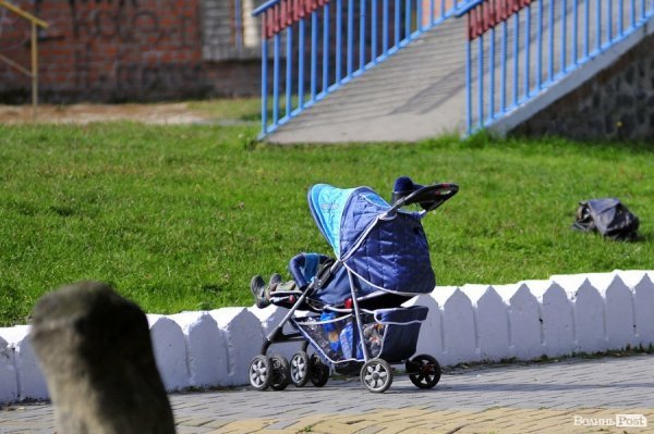 «Бабине літо» і «бебі-бум» Луцьку. ФОТО