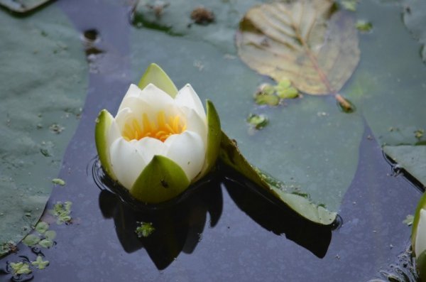Фотовиставка: Сергій Олешкевич