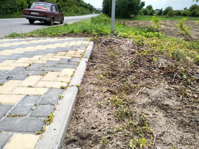 Біля зупинок, які заквітчав відомий волинянин, знищили чорнобривці 