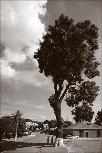 Фотовиставка Тараса Цибуха