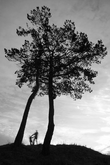 Фотовиставка Тараса Цибуха