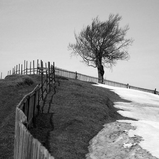 Фотовиставка Тараса Цибуха