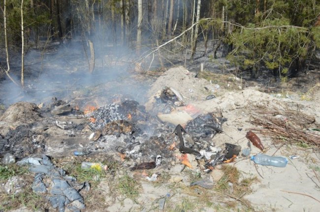 Загрожувало лісовою пожежою: на Волині через підпал горіли сміттєзвалища. ФОТО. ВІДЕО