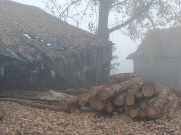 На Волині «накрили» пилораму з незаконною деревиною