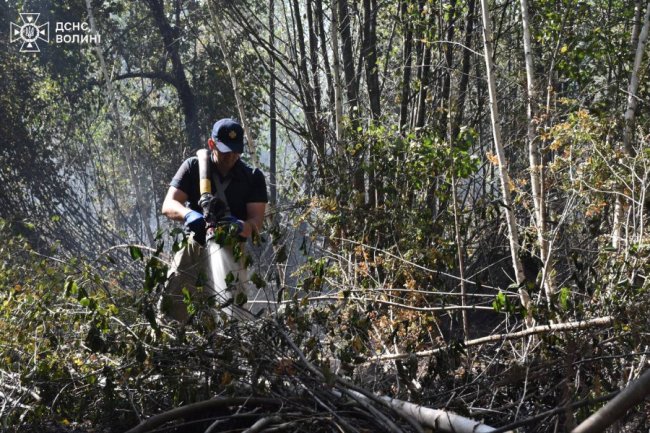 У Луцькому районі четверту добу триває гасіння пожежі лісу